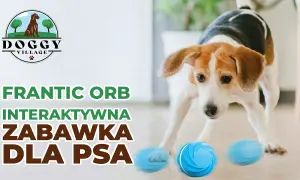 Inteligentna uciekająca zabawka dla psa i kota – radość i ruch w zabawie