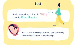 33 tydzień ciąży to czas intensywnego wzrostu płodu, który waży ok. 2000 g i ma 44 cm.