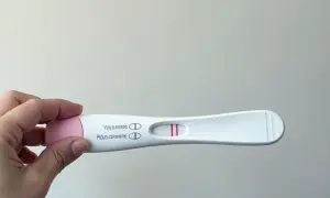 Test ciążowy negatywny. Dwie kreski kontrolne, brak kreski testowej.