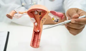Model anatomiczny narządów rodnych kobiety, z zaznaczoną otwartą szyjką macicy w ciąży. Lekarz wskazuje na model.