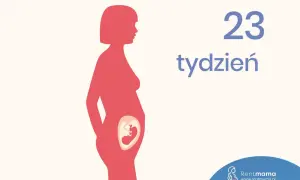 Sylwetka kobiety w ciąży z widocznym płodem. Obrazek informuje, że to 23 tydzień ciąży, który to miesiąc jest już zaawansowany.