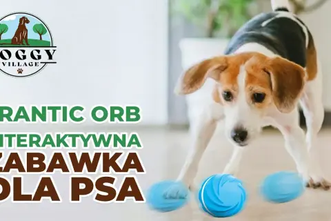 Inteligentna uciekająca zabawka dla psa i kota – radość i ruch w zabawie