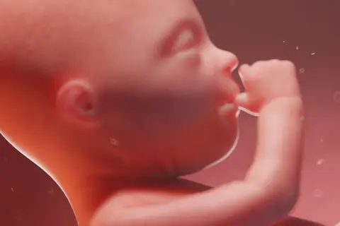 Jak wygląda dziecko w 20 tygodniu ciąży - co powinieneś wiedzieć?