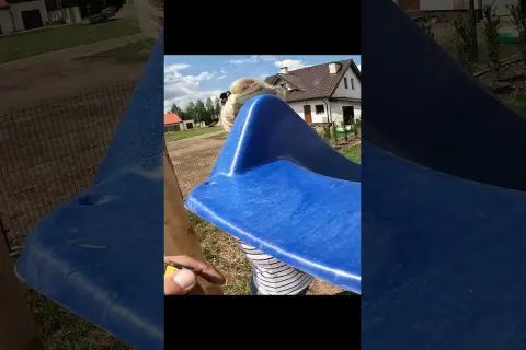 Jak zrobić makietę placu zabaw - proste kroki i pomysły na model