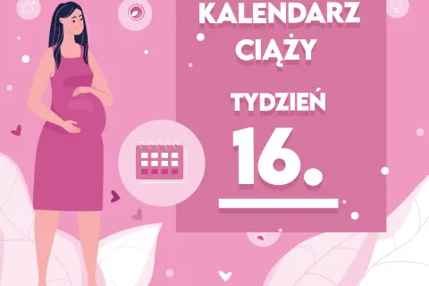 16 tydzień ciąży: na jakiej wysokości jest dziecko w brzuchu?