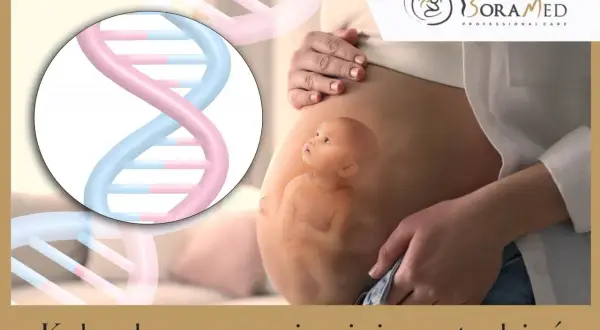 Dziecko w 19 tygodniu ciąży, widoczne na tle DNA. Kalendarz rozwoju ciąży.