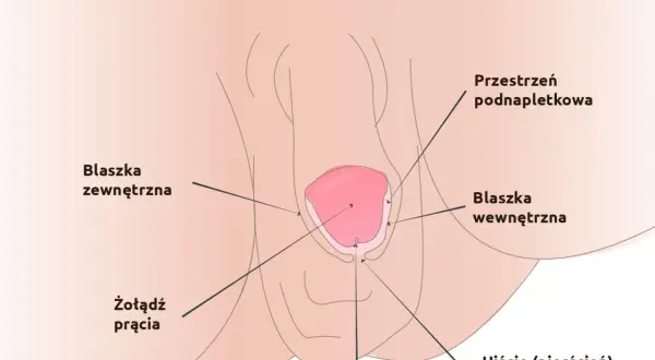 Jak wygląda napletek u dziecka? Normalne cechy i problemy zdrowotne