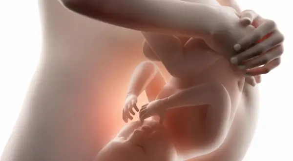 Dziecko w łonie matki, przygotowujące się do pierwszego oddechu. Delikatne ruchy, jak dziecko oddycha w brzuchu, czuć przez skórę.
