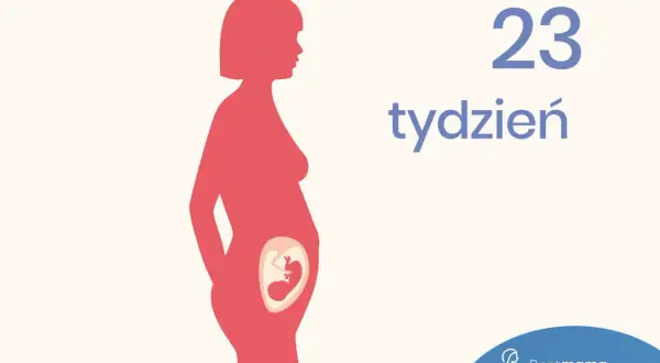 Sylwetka kobiety w ciąży z widocznym płodem. Obrazek informuje, że to 23 tydzień ciąży, który to miesiąc jest już zaawansowany.