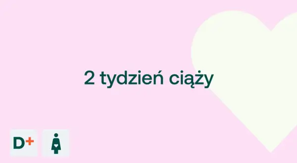 2 tydzień ciąży. Delikatny różowy tle z jasną sercem. Ikony D+ i kobiety w ciąży.