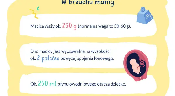 W brzuchu mamy: macica waży ok. 250 g, dno macicy jest 2 palce nad spojeniem łonowym, a dziecko otacza 250 ml płynu. To 16 tydzień ciąży.
