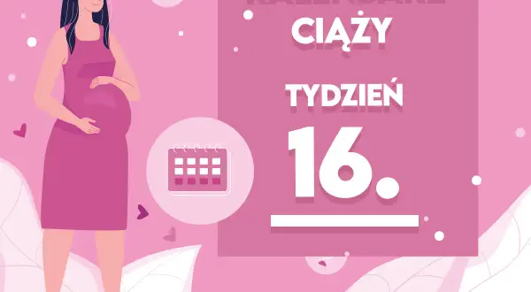 16 tydzień ciąży: na jakiej wysokości jest dziecko w brzuchu?