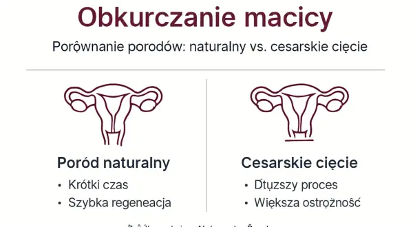 Porównanie obkurczania macicy po porodzie naturalnym i cesarskim cięciu. Ilustracje narządów rodnych.
