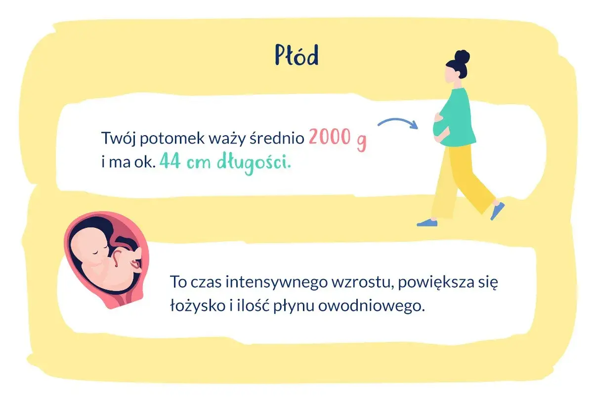 33 tydzień ciąży to czas intensywnego wzrostu płodu, który waży ok. 2000 g i ma 44 cm.