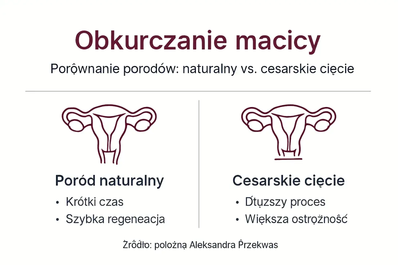 Porównanie obkurczania macicy po porodzie naturalnym i cesarskim cięciu. Ilustracje narządów rodnych.