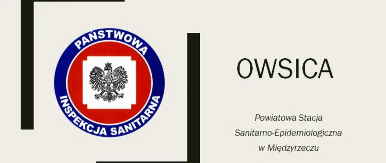 Zdjęcie Czy dziecko z owsikami może chodzić do przedszkola? Sprawdź zasady
