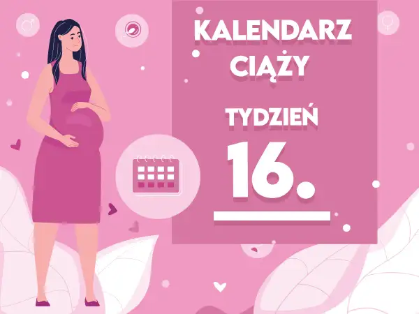 16 tydzień ciąży: na jakiej wysokości jest dziecko w brzuchu?